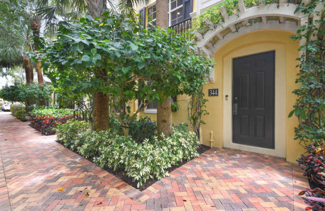 344 N Bromeliad