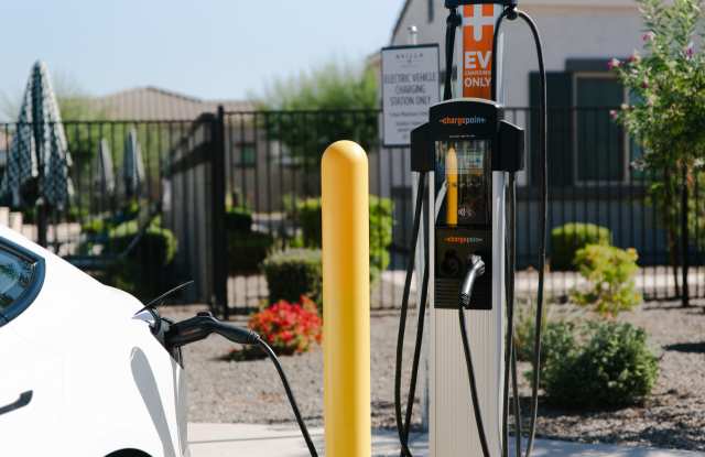 Photo of Avilla Mystic