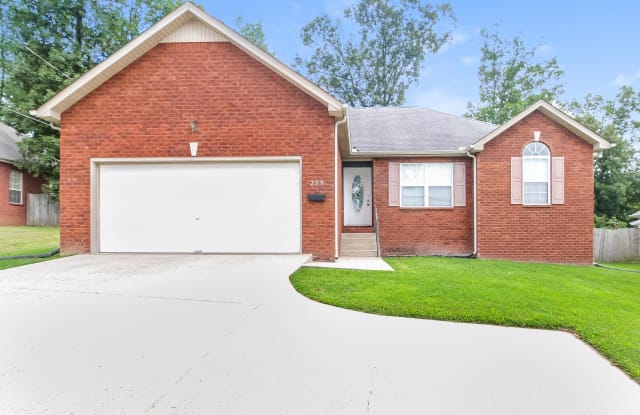 259 Chaney Blvd - 259 Chaney Boulevard, La Vergne, TN 37086