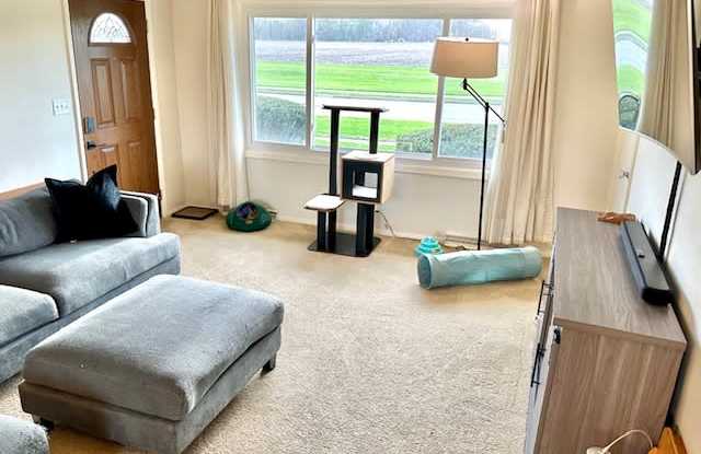 2302 South Race Street