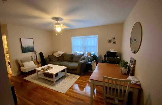 Huge and Sunny Apt near Cleveland Circle and T's! Heat and Hot Water Included! Cat Friendly!