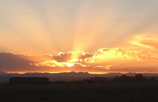 26220 Big Springs Road