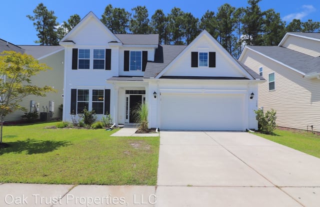 259 Spectrum Road - 259 Spectrum Road, Berkeley County, SC 29486