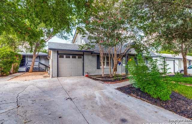 3139 Whitewing