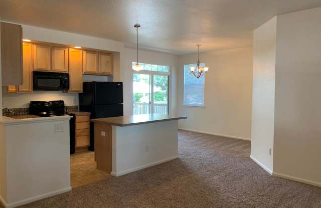 1977 Grays Peak Drive #102