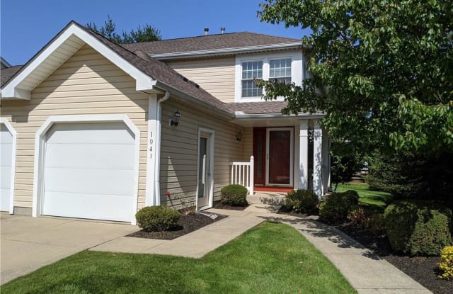 1041 Sunhaven Dr - 1041 Sunhaven Drive, Medina, OH 44256