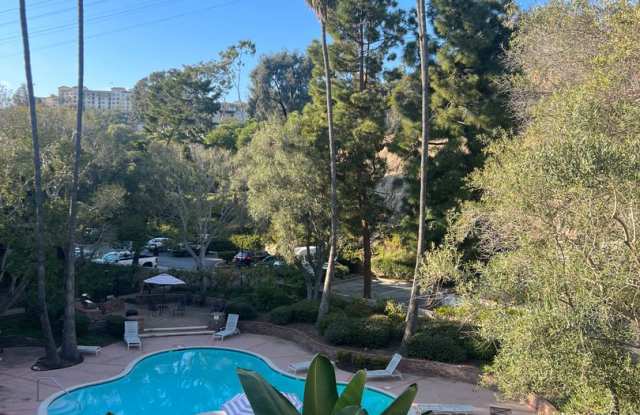 1 Bedroom Condo in Mission Valley