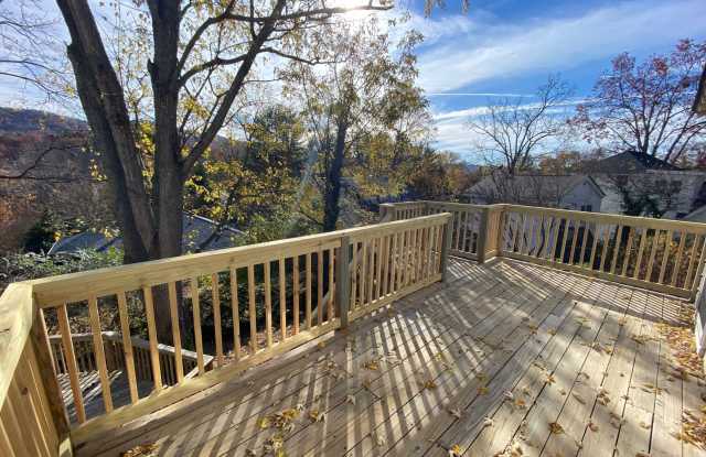 North AVL - Renovated 1920's Home with Separate 1/1 Apartment!