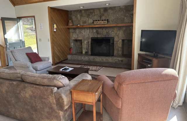 417 Chalet Village Dr