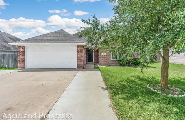 1011 Gardenia St - 1011 Gardenia Street, College Station, TX 77845