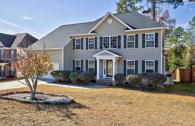 110 Acuba Court - 110 Acuba Court, Richland County, SC 29229