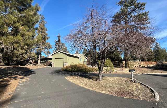 Fresh Updates on Large Lot