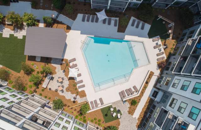 Photo of Spectator Atlanta