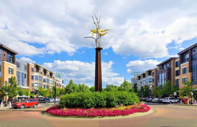 Excelsior Grand St Louis Park Mn Apartments For Rent