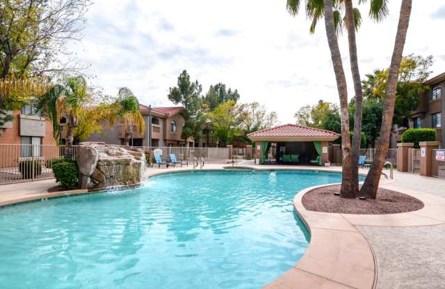 Palms on Scottsdale by Mark-Taylor