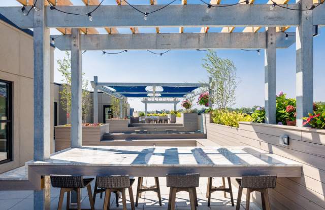 Photo of Illustrator