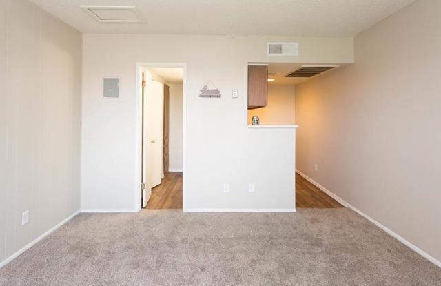 Photo of Sonoran Palms