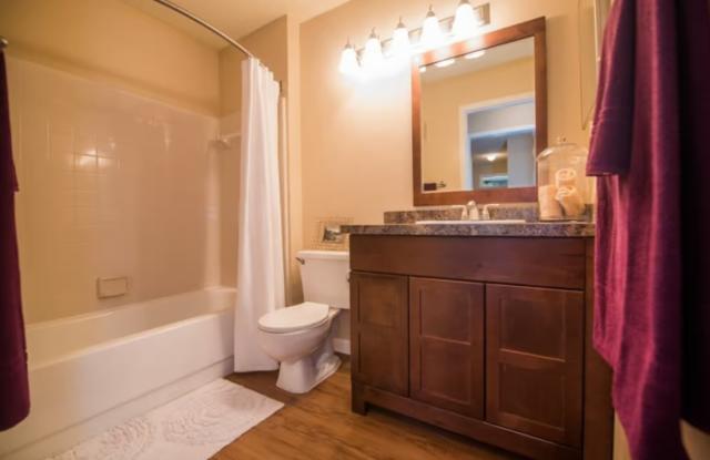 Grande Oasis at Carrollwood