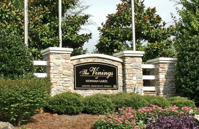 the vinings apartments newnan ga