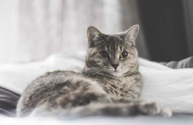 Photo of Eleven41 Main