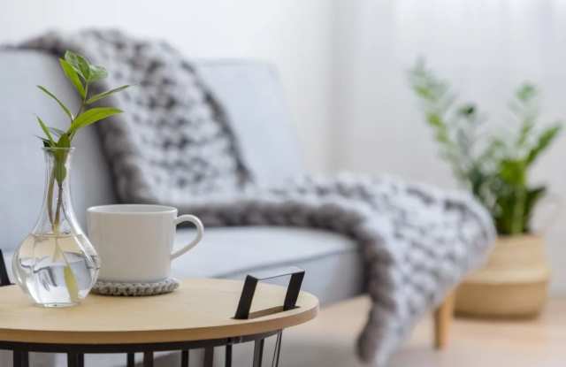 The Shockoe Collection