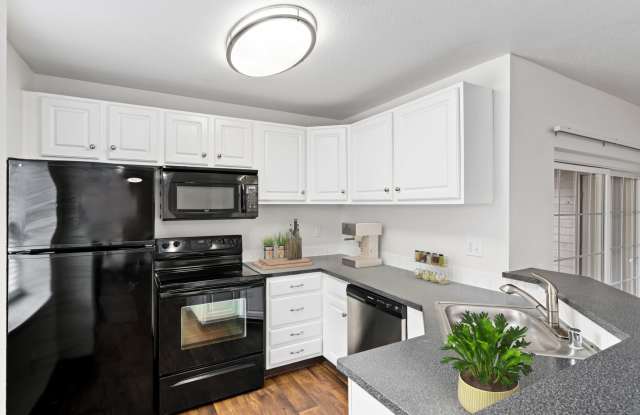 Photo of Autumn Chase