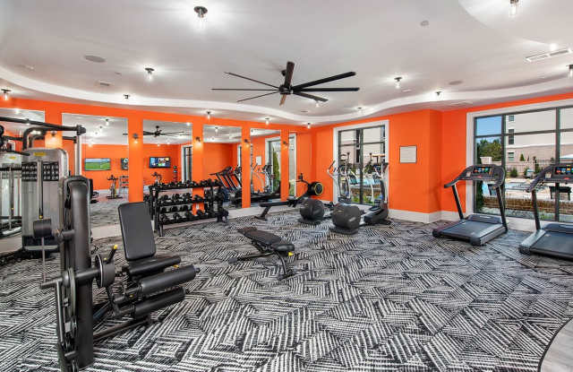 Ten 45 Suwanee Luxury Apartments