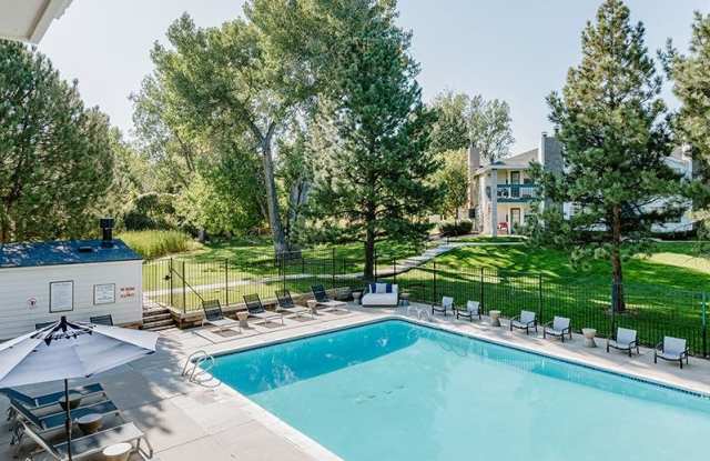 Kallisto at Bear Creek