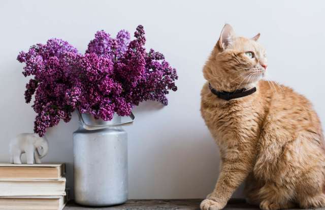 Porter Plaza Apartments