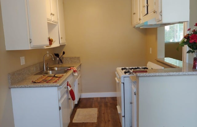 Photo of Alondra Palms