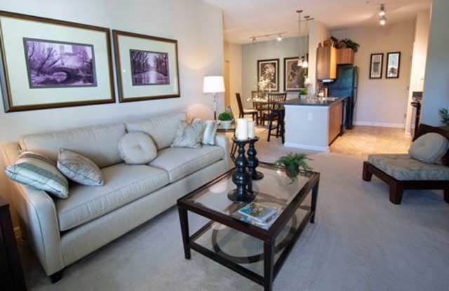 Photo of Overlook at Gwinnett Stadium