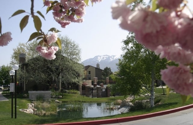 Cherry Creek Apartments Riverdale Ut Apartments For Rent