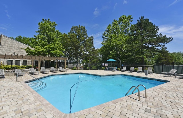 Most Popular Dating Site Near Seymour Tn Most Popular Dating Site Near Seymour Tn