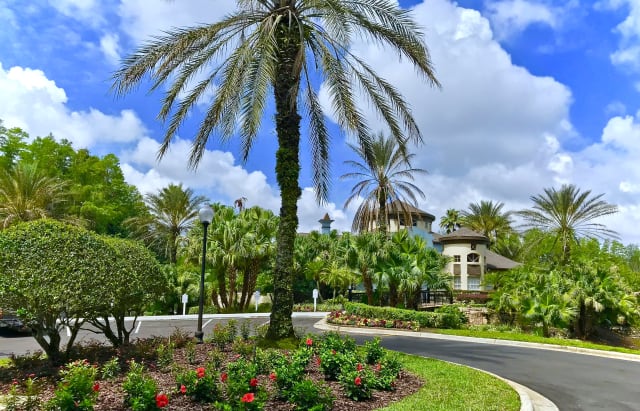 new tampa homes for rent