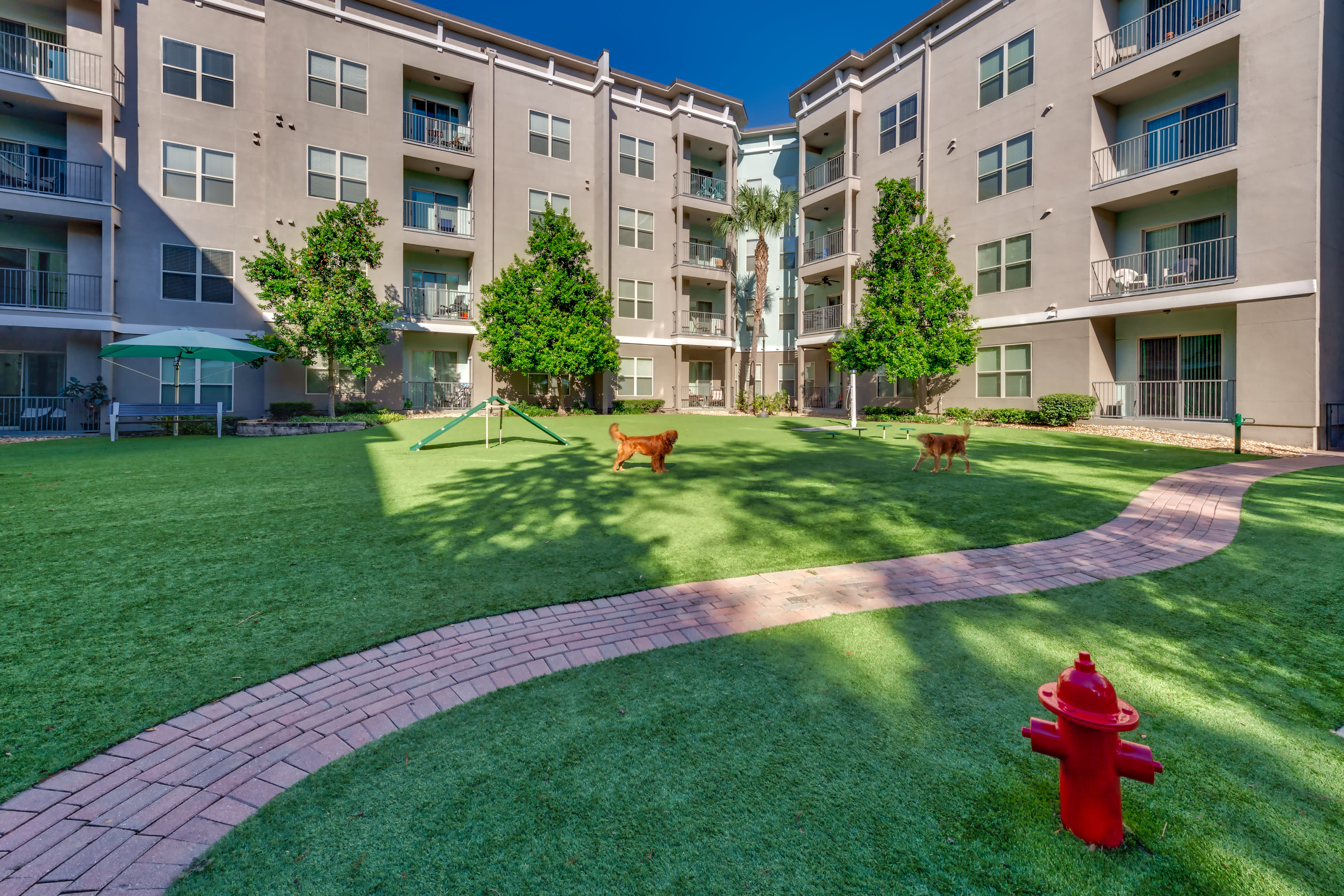 100 Best Apartments For Rent In Tampa Fl With Pictures 100 Best Apartments For Rent In Tampa Fl With Pictures