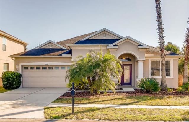 3445 Fiddlers Green Loop Wesley Chapel Fl Apartments For Rent