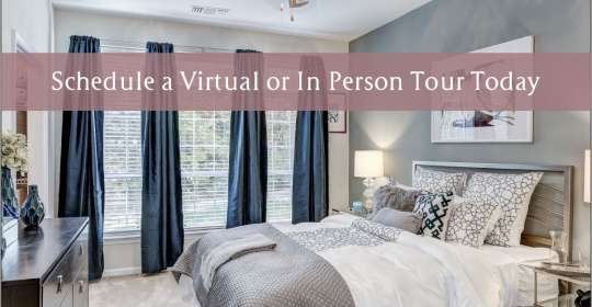 Apartment List Best Pet Friendly Apartments For Rent Near You