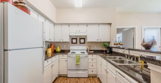 Studio 8 Arlington Tx Apartments For Rent