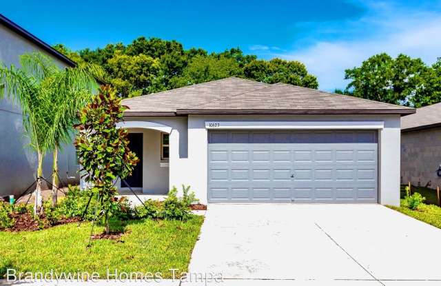 10643 Sweet Sapling St Riverview Fl Apartments For Rent
