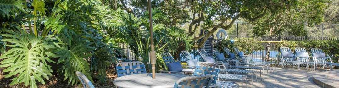 100 Best Apartments Under 1000 In Tampa Fl P 2