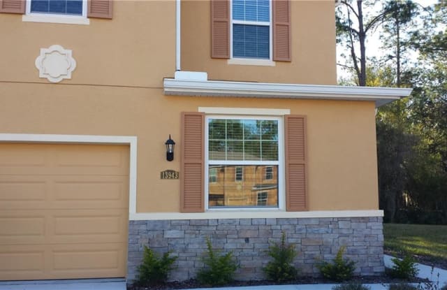 13943 River Willow Place Tampa Fl Apartments For Rent