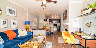 husky friendly apartments near me