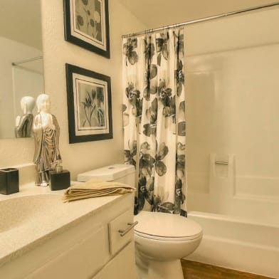 The Place At Santana Village Apartments For Rent