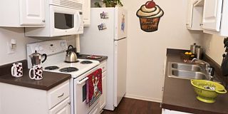 20 best apartments in san marcos tx with pictures