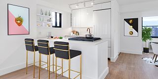 large dog friendly apartments manhattan