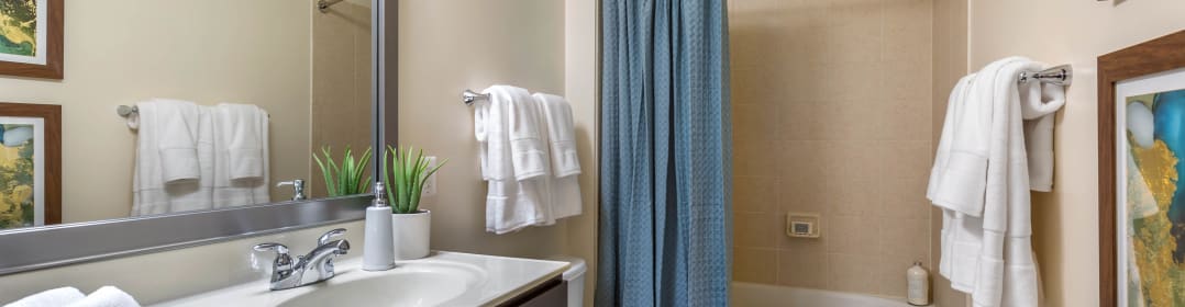 Myerton Arlington Va Apartments For Rent