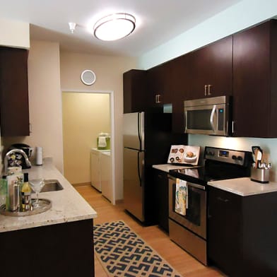 Dog Friendly Apartments For Rent In Concord Ca Dog Friendly Apartments For Rent In Concord Ca