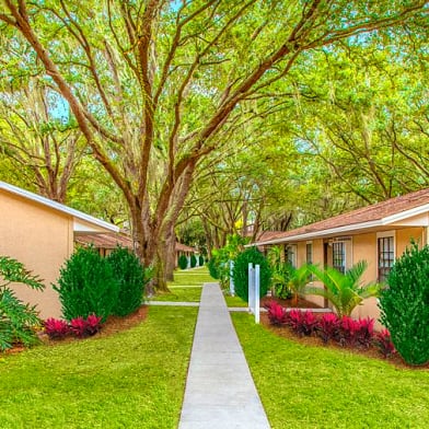 Grove At Southshore Apartments For Rent