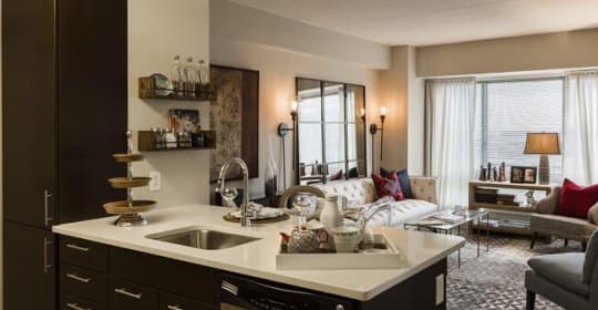 pet friendly apartments for rent in new haven ct