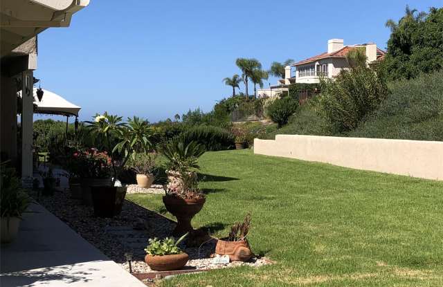 258 Calle Cuervo San Clemente Ca Apartments For Rent
